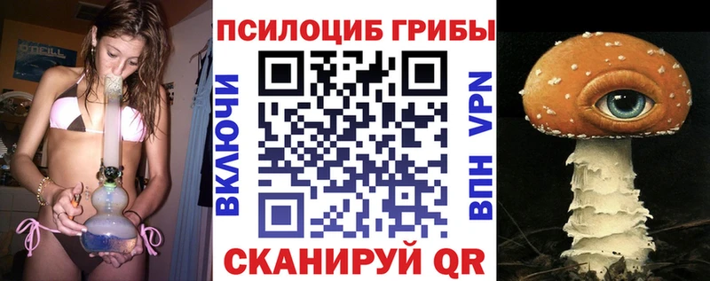 дарк нет как зайти  Шуя  Псилоцибиновые грибы Psilocybe  наркошоп 